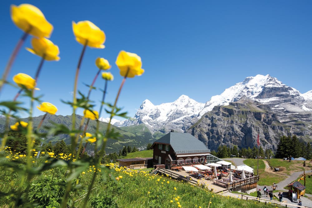 Ausflugstipp Allmendhubel | CHALET RAUFTHUBEL | Mürren - Schweiz | ©Jungfrau Region Tourismus AG 